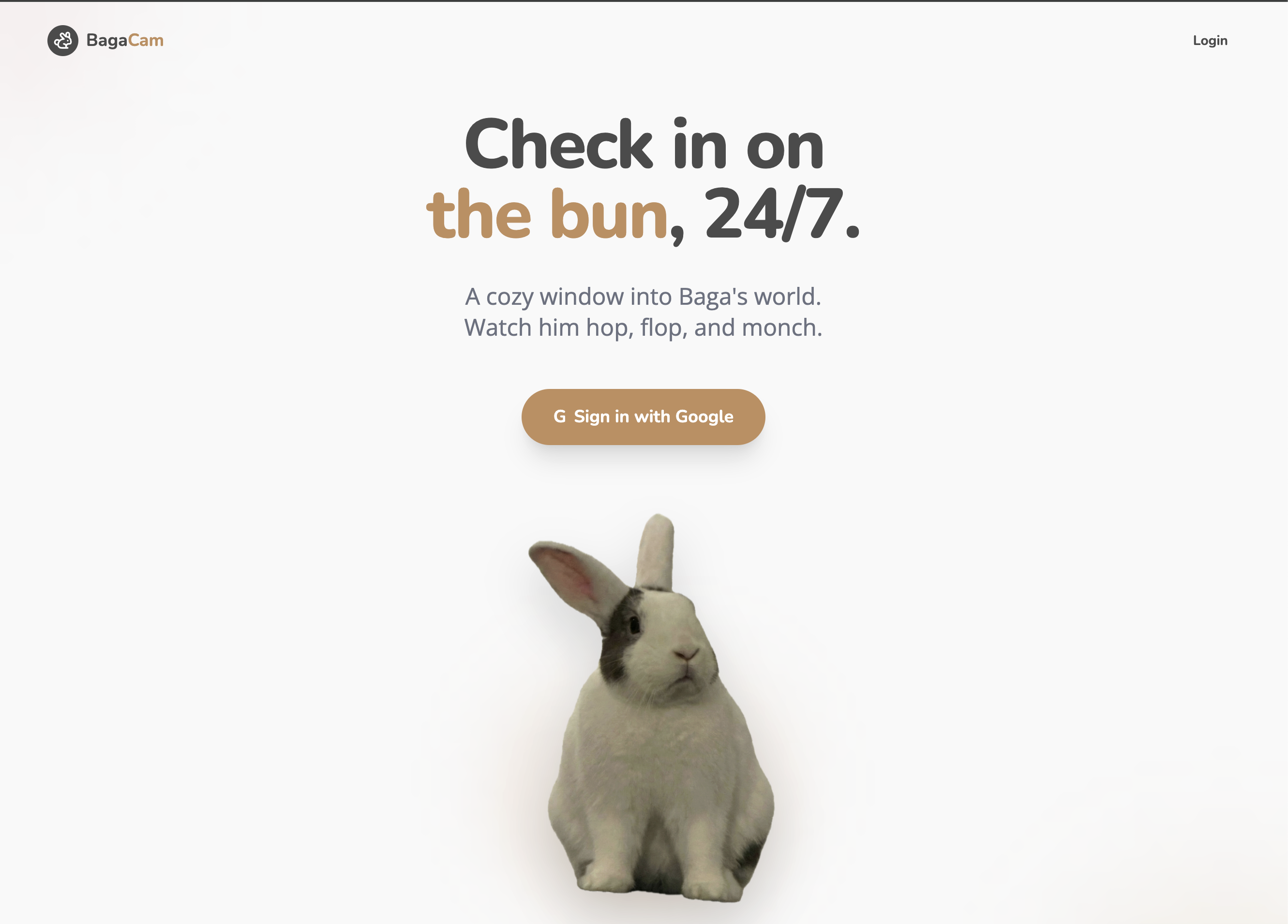 BagaCam Landing Page